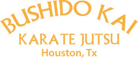 Champions Bushido - Karate Jutsu